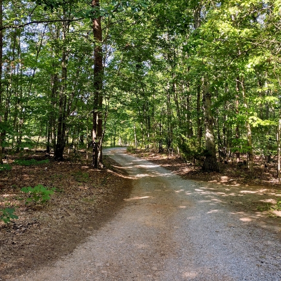 Meet your Posher, Rose - Picture 2 of 5